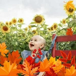 Meet your Posher, Lynn